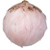 Northlight Glitter Feather Hanging Christmas Ball Ornament - 8" - Pink - 4 of 4