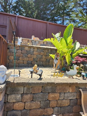 Guest review image 1 of 1, zoom in
