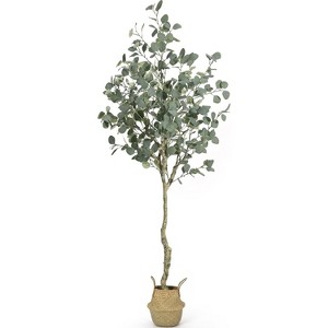 6FT Artificial Eucalyptus Tree with Silver Dollar Leaves, Faux Plant in Woven Pot for Indoor & Outdoor Home, Office Decor - 1 of 4