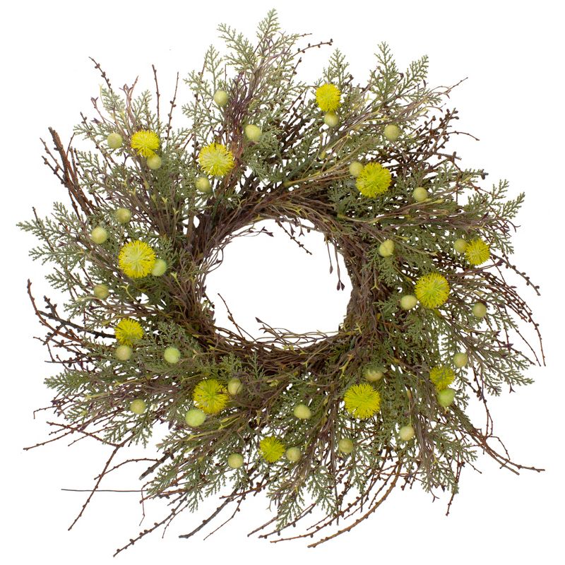 Northlight Burrs and Craspedia Artificial Twig Wreath, Yellow and Green - 20-Inch, 1 of 5