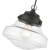 Livex Lighting Avondale 1 - Light Pendant in  Black/Brushed Nickel - 2 of 3