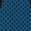 blue/black trim