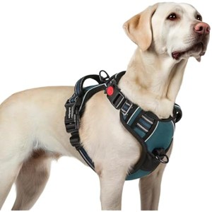 rabbitgoo Dog Harness for Large, No Pull Pet Harness with Handle, Walking Reflective Pet Vest for Large Dogs, Blue Coral, L - 1 of 1
