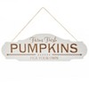 The Lakeside Collection Autumn Leaves and Pumpkins Please - Farm Fresh Pumpkins Sign - 4 of 4