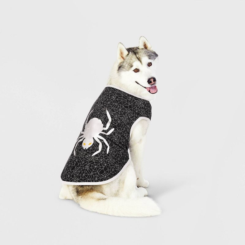 Halloween Graphic Spider Dog and Cat T-Shirt - Black - Hyde & EEK! Boutique™, 1 of 9