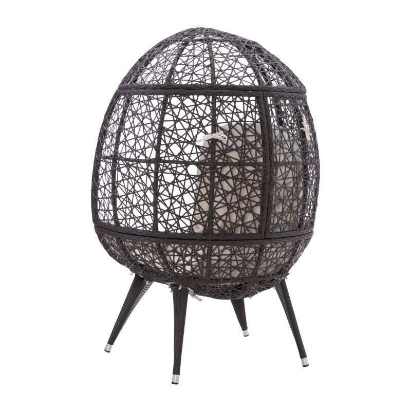Davis Boho Indoor Outdoor All Weather Wicker Egg Chair with Cushion Brown/Beige - Linon, 6 of 14