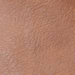 chestnut