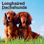 Browntrout 2024 Wall Calendar 12"x12" Longhaired Dachshunds