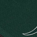 michigan state spartans