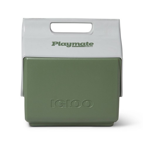 Igloo Refreezable Ice Block 2pk - Small : Target