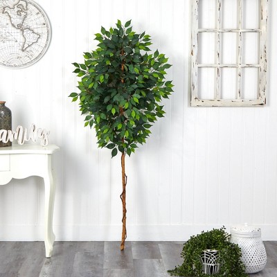 Elegant 6ft Ficus & Fern Mix Artificial Potted Tree