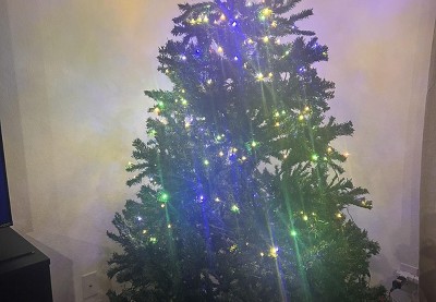 Guest review image 1 of 1, zoom in