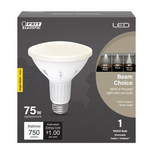 Feit Electric PAR30 E26 (Medium) LED Bulb Bright White 75 Watt Equivalence 1 pk - 1 of 1