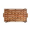 Kate and Laurel Monaco Wood and Metal Tray Table - 4 of 4