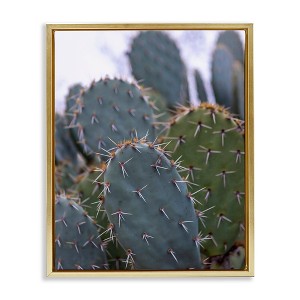 Stupell Industries Prickly Cactus Thorns Close Up Photography Desert Vegetation Floating Frame Canvas Art, Gold, 25" x 31" - 1 of 4