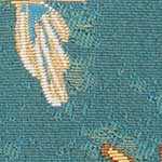 fish aqua