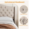 homfan Modern Velvet Upholstered Bed Frame with Tufted Raised Wing Back Headboard, Wood Slats Support, Mattress Foundation, Easy to Assemble - 4 of 4