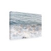 Trademark Fine Art - Elena Chukhlebova Saltwater Cures All Wounds Canvas Art - 4 of 4