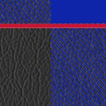 new york rangers