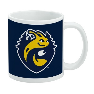 University of California-Santa Cruz Primary Logo Ceramic Coffee Mug Novelty Gift Mugs for Coffee Tea and Hot Drinks 11oz White