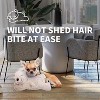 Allforpaws Little Buddy - Puppy Soothing Heartbeat Warm Bear Comfort Dog Sleep Aid Plush Toy - 3 of 4
