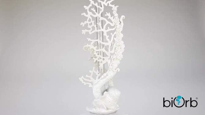 biOrb Fan Coral Ornament Aquarium Sculptures - White, 2 of 6, play video