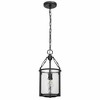 Z-Lite Barrington 1 - Light Pendant in  Matte Black - 2 of 4