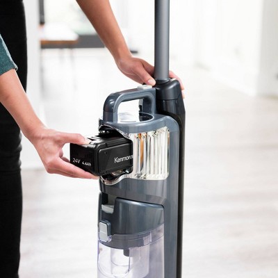 Black Cordless Upright Vacuum with HEPA Filter for Pets