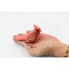 Collectible Wildlife Gifts | Bird, Northern Cardinal,  Museum Quality, Hand Painted, Rubber, Realistic Toy Figure, Model, Gift,   5"   CH342 BB134 - 2 of 4