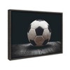 18" x 24" Sylvie Soccer Ball Framed Canvas by Shawn St. Peter Gray - DesignOvation: Modern Sports Wall Art, Plastic Frame, Sawtooth Back - 2 of 4
