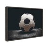 18" x 24" Sylvie Soccer Ball Framed Canvas by Shawn St. Peter Gray - DesignOvation: Modern Sports Wall Art, Plastic Frame, Sawtooth Back - image 2 of 4