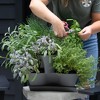 Bloem Collins 16" Stackable 2-Level 6 Mini Potting Vertical Resin Planter Solution for Succulents and Herbs, Charcoal Grey - 2 of 4