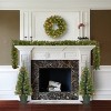 Prelit LED Battery Operated Assortment Multicolor Lights - National Tree Company - 2 of 3