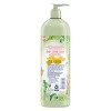 Suave Kids Sweet Almond & Honey Curls Moisturizing Shampoo - 20 fl oz - image 3 of 4