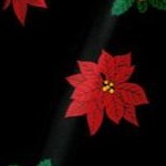 black poinsettia