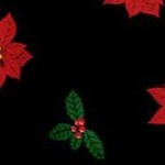 black poinsettia