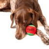 Midlee Candy Cane Christmas Dog Tennis Balls 2.5" with Squeakers - 3 of 4