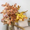 Sullivans Artificial Fall Leaves Stem Multicolor 48"  Set of 2 - 3 of 3