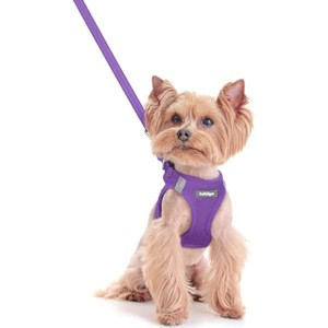 rabbitgoo Dog Harness Small Sized and Leash Set, Breathable Mesh Pet Harness, Reflective for Safe Outdoor Walking, Purple XXS - 1 of 1
