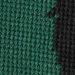 green dog