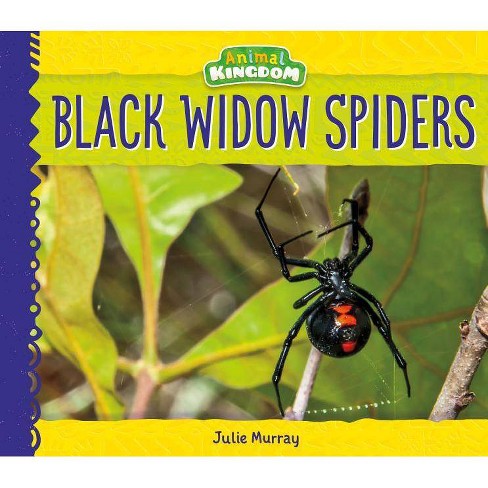 Black Widow Spiders Animal Kingdom By Julie Murray Hardcover - 