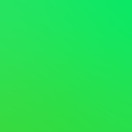grey / green reflex