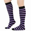 Striped Pattern Knee High Socks (Tube Socks) from the Sock Panda (Women's Sizes, Adult Medium) - 2 of 3