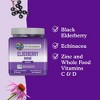 Garden of Life Dr. Formulated Adult Elderberry Gummies - 60ct - 3 of 4