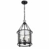 Z-Lite Barrington 4 - Light Pendant in  Matte Black - 4 of 4