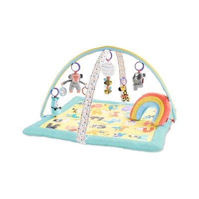 Skip Hop Abc Me Activity Gym