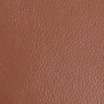 chestnut