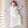 Kyte Baby Sleep Bag 2.5 TOG - 3 of 4
