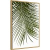 Amanti Art Palm Leaves Foliage Photo IV by Amini54  Framed Canvas Wall Art - 3 of 4