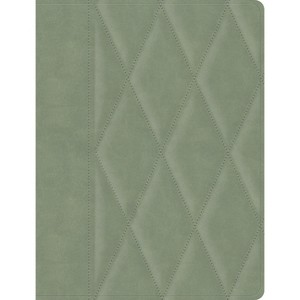 CSB Notetaking Bible, Large Print Edition, Sage Suedesoft Leathertouch Over Board - by  Csb Bibles by Holman (Leather Bound) - 1 of 1